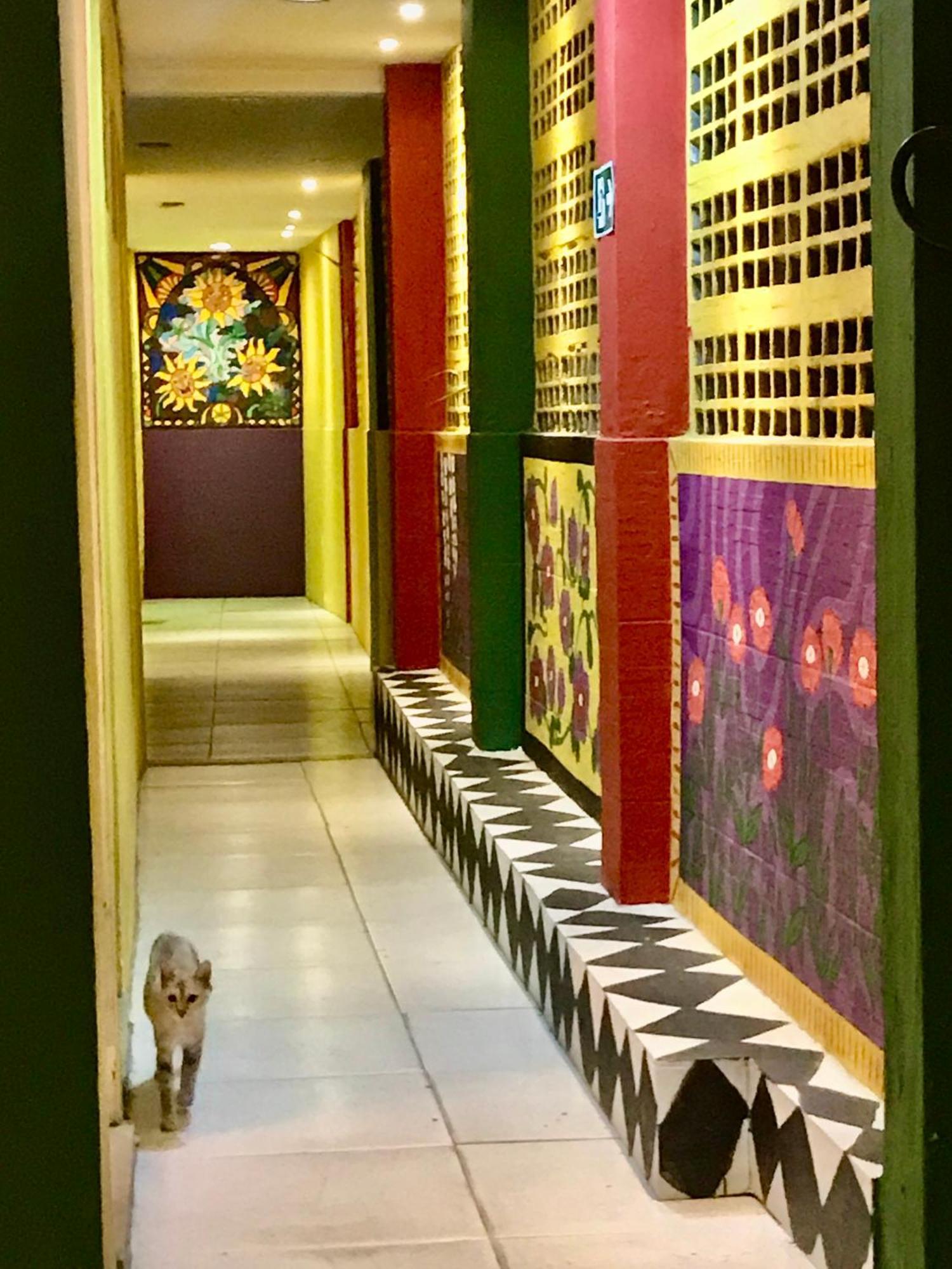 Hostel Do Rasta Сальвадор Экстерьер фото